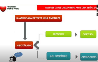 Protegido: El peligro del Estrés Crónico ¿Cómo detectar si lo padezco?